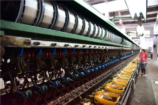 工業(yè)遺存煥新顏 珠三角繅絲廠變身廣東首家蠶桑絲織研學(xué)基地